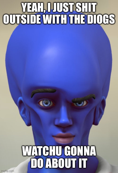 Yeah um weird | YEAH, I JUST SHIT OUTSIDE WITH THE DIOGS; WATCHU GONNA DO ABOUT IT | image tagged in megamind giga-chad | made w/ Imgflip meme maker