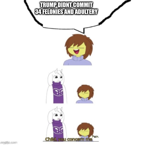 frisk child you concern me | TRUMP DIDNT COMMIT 34 FELONIES AND ADULTERY | image tagged in frisk child you concern me | made w/ Imgflip meme maker