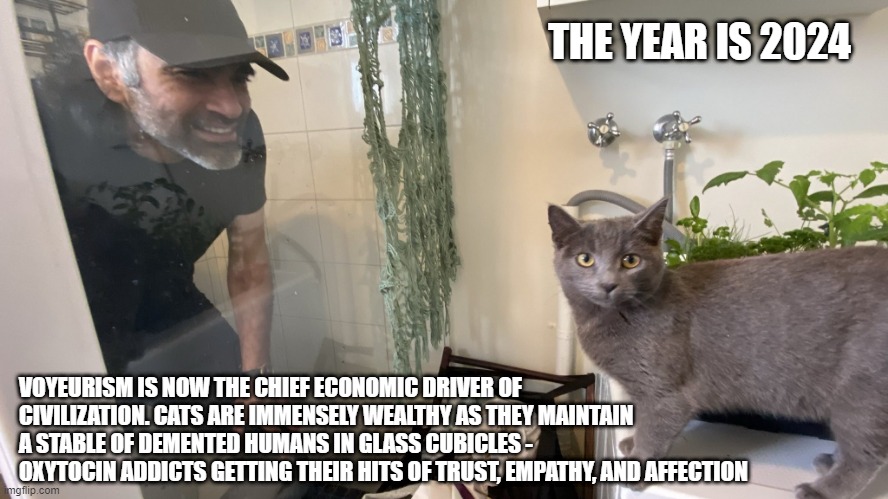 Status Update | THE YEAR IS 2024; VOYEURISM IS NOW THE CHIEF ECONOMIC DRIVER OF CIVILIZATION. CATS ARE IMMENSELY WEALTHY AS THEY MAINTAIN A STABLE OF DEMENTED HUMANS IN GLASS CUBICLES - 
OXYTOCIN ADDICTS GETTING THEIR HITS OF TRUST, EMPATHY, AND AFFECTION | image tagged in philosoraptor | made w/ Imgflip meme maker