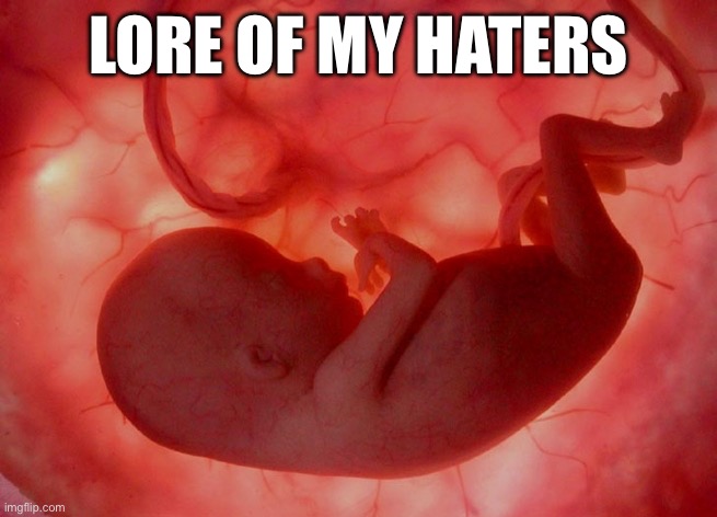 fetus | LORE OF MY HATERS | image tagged in fetus | made w/ Imgflip meme maker