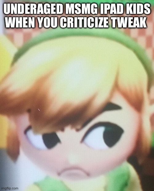 Toon link mad | UNDERAGED MSMG IPAD KIDS WHEN YOU CRITICIZE TWEAK | image tagged in toon link mad | made w/ Imgflip meme maker