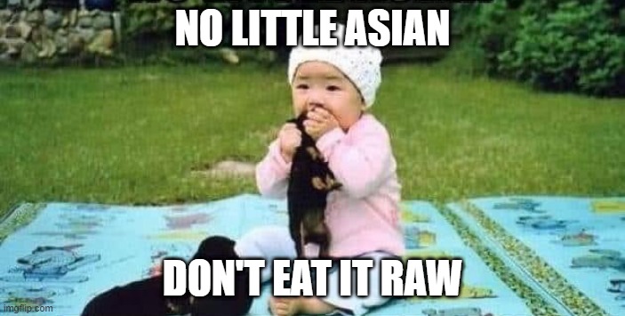 Dog Sushi | NO LITTLE ASIAN; DON'T EAT IT RAW | image tagged in dark humor | made w/ Imgflip meme maker