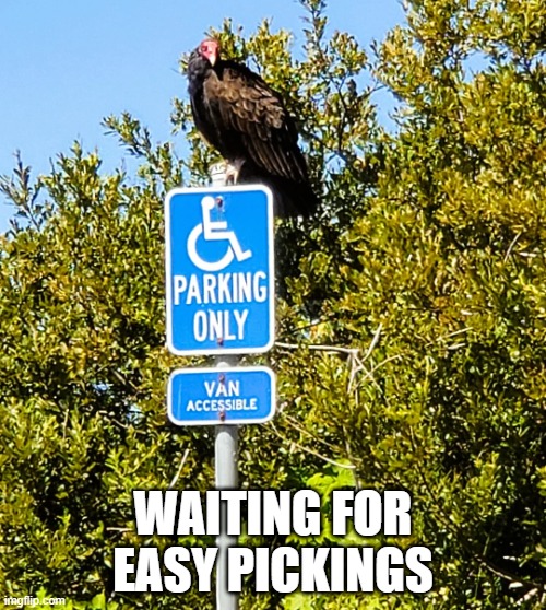 Easy Pickings | WAITING FOR EASY PICKINGS | image tagged in dark humor | made w/ Imgflip meme maker