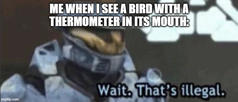 Pun intended! | ME WHEN I SEE A BIRD WITH A
THERMOMETER IN ITS MOUTH: | image tagged in memes,wait that's illegal,bird,pun,jokes,haha | made w/ Imgflip meme maker