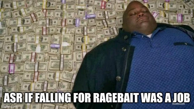 huell money | ASR IF FALLING FOR RAGEBAIT WAS A JOB | image tagged in huell money | made w/ Imgflip meme maker