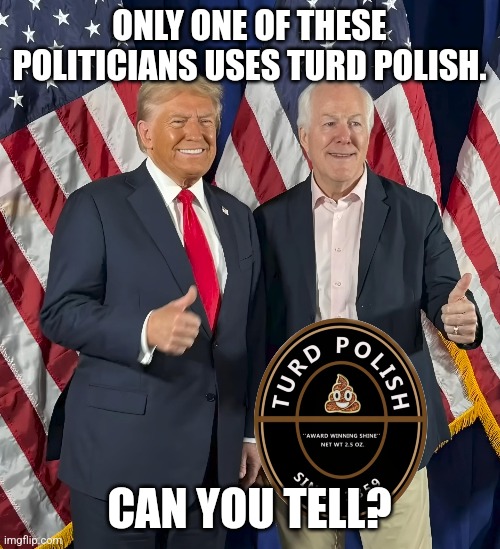 Turd Commander | ONLY ONE OF THESE POLITICIANS USES TURD POLISH. CAN YOU TELL? | image tagged in turd polish,donald trump,texas senator,liar | made w/ Imgflip meme maker