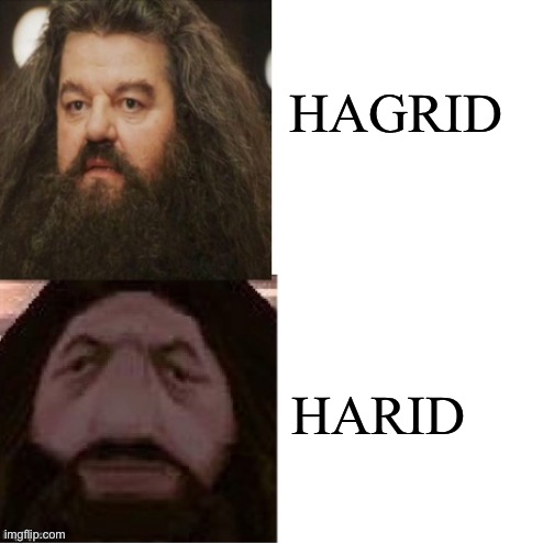 Hagrid Comparison | HAGRID HARID | image tagged in hagrid comparison | made w/ Imgflip meme maker