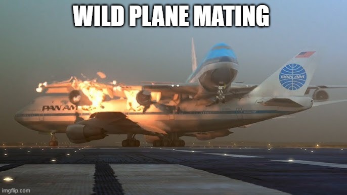 580 people died in this | WILD PLANE MATING | image tagged in airplane | made w/ Imgflip meme maker
