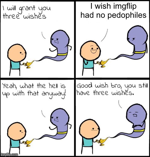 3 Wishes | I wish imgflip had no pedophiles | image tagged in 3 wishes | made w/ Imgflip meme maker