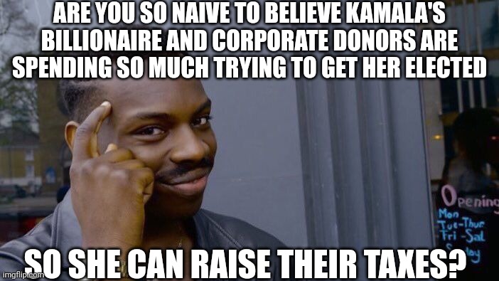 The dumb puppet leading the dumb people | ARE YOU SO NAIVE TO BELIEVE KAMALA'S BILLIONAIRE AND CORPORATE DONORS ARE SPENDING SO MUCH TRYING TO GET HER ELECTED; SO SHE CAN RAISE THEIR TAXES? | image tagged in ignorance,lies,democratic party,kamala harris,scam,top 1 percent | made w/ Imgflip meme maker