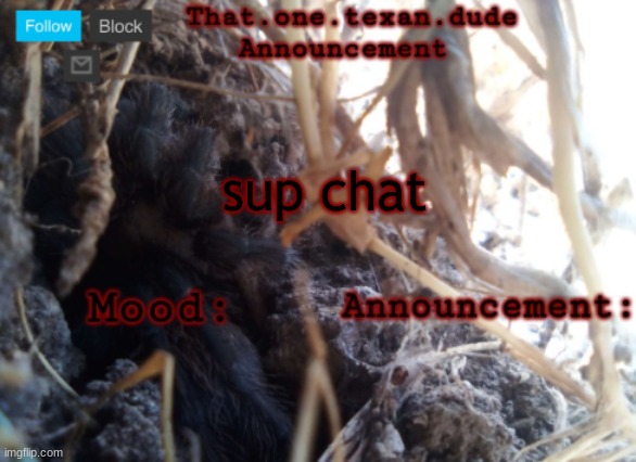 THE that.one.texan.dude announcement template | sup chat | image tagged in the that one texan dude announcement template | made w/ Imgflip meme maker