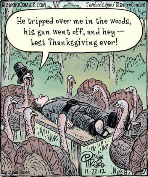 image tagged in thanksgiving,turkeys,pilgrim,oof | made w/ Imgflip meme maker