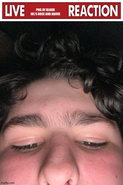 PNG OF BLOOK IRL’S NOSE AND ABOVE | image tagged in live x reaction | made w/ Imgflip meme maker