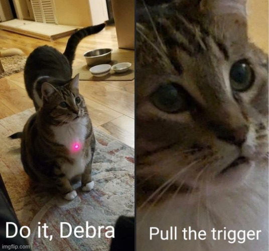 do it debra, pull the trigger | image tagged in do it debra pull the trigger | made w/ Imgflip meme maker