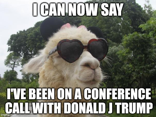 It's not a joke. I was there. | I CAN NOW SAY; I'VE BEEN ON A CONFERENCE CALL WITH DONALD J TRUMP | image tagged in cool llama,trump,zoom,donald trump | made w/ Imgflip meme maker