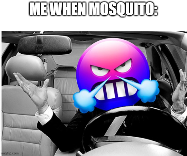 Angryy | ME WHEN MOSQUITO: | image tagged in road rage | made w/ Imgflip meme maker