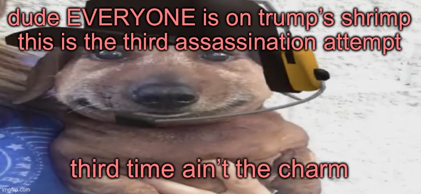 chucklenuts | dude EVERYONE is on trump’s shrimp this is the third assassination attempt; third time ain’t the charm | image tagged in chucklenuts | made w/ Imgflip meme maker