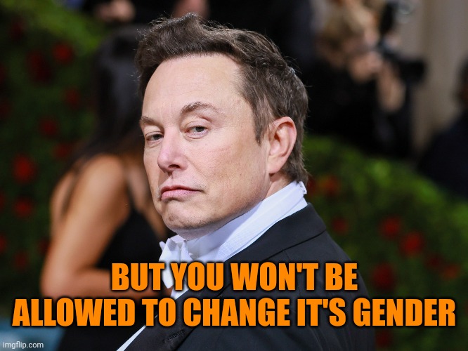 BUT YOU WON'T BE ALLOWED TO CHANGE IT'S GENDER | made w/ Imgflip meme maker
