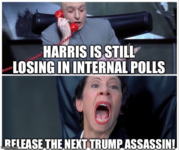 Another day another failed assassination attempt by desperate dems | HARRIS IS STILL LOSING IN INTERNAL POLLS; RELEASE THE NEXT TRUMP ASSASSIN! | image tagged in dr evil and frau yelling | made w/ Imgflip meme maker