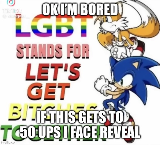 Pretty ironic since my username is The_Faceless | OK I’M BORED; IF THIS GETS TO 50 UPS I FACE REVEAL | image tagged in lgbt stands for let s get bitches together | made w/ Imgflip meme maker