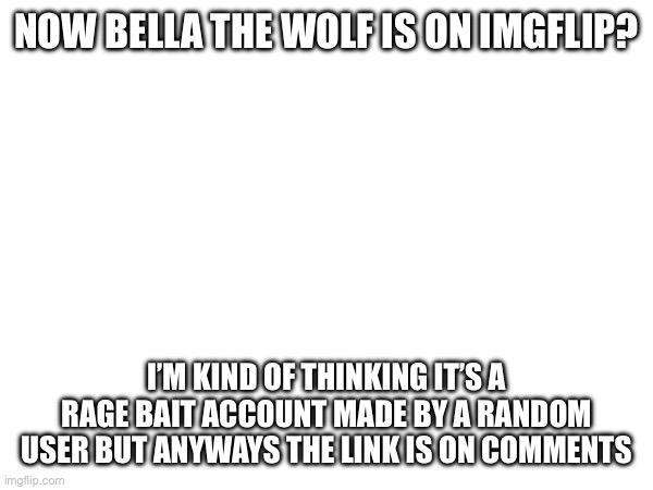 Bella is a W (/j) | NOW BELLA THE WOLF IS ON IMGFLIP? I’M KIND OF THINKING IT’S A RAGE BAIT ACCOUNT MADE BY A RANDOM USER BUT ANYWAYS THE LINK IS ON COMMENTS | made w/ Imgflip meme maker