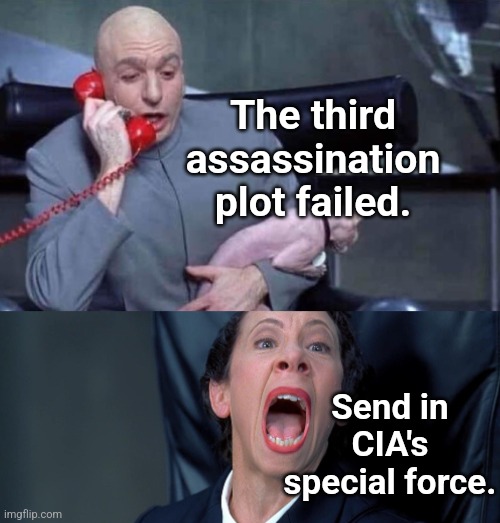 Dr. Evil and Frau | The third assassination plot failed. Send in CIA's special force. | image tagged in dr evil and frau | made w/ Imgflip meme maker