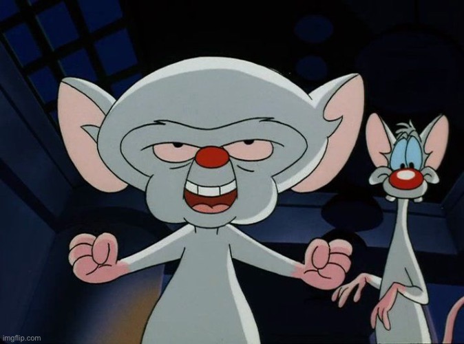 Pinky and the brain | image tagged in pinky and the brain | made w/ Imgflip meme maker