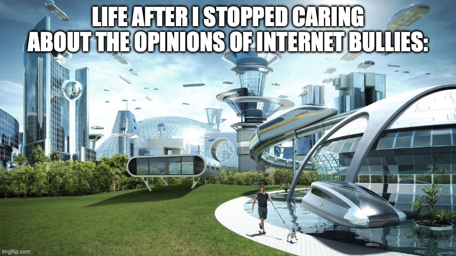 Life if | LIFE AFTER I STOPPED CARING ABOUT THE OPINIONS OF INTERNET BULLIES: | image tagged in life if,wholesome,motivational,internet,good vibes | made w/ Imgflip meme maker