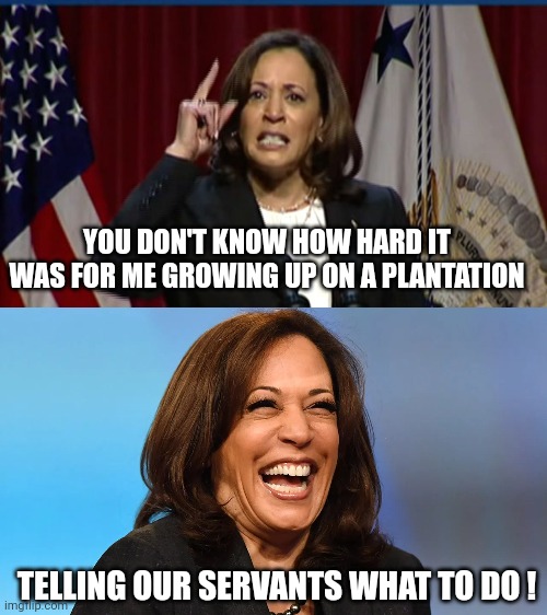 YOU DON'T KNOW HOW HARD IT WAS FOR ME GROWING UP ON A PLANTATION TELLING OUR SERVANTS WHAT TO DO ! | image tagged in kamala angry,kamala cackle | made w/ Imgflip meme maker