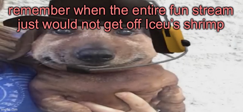 chucklenuts | remember when the entire fun stream just would not get off Iceu’s shrimp | image tagged in chucklenuts | made w/ Imgflip meme maker