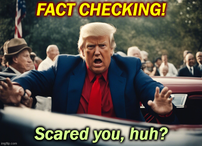 Sorry to disturb your nap. | FACT CHECKING! Scared you, huh? | image tagged in trump,fact check,liar,angry,fear | made w/ Imgflip meme maker