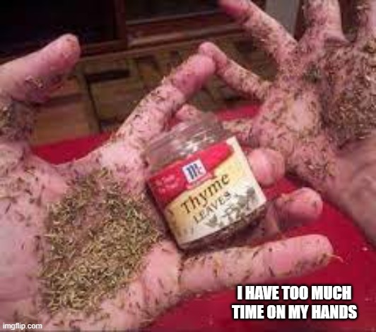 memes by Brad - I have too much thyme on my hands - humor | I HAVE TOO MUCH TIME ON MY HANDS | image tagged in funny,fun,play on words,funny meme,spice,humor | made w/ Imgflip meme maker