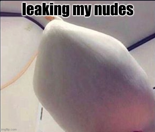 e | leaking my nudes | image tagged in d,i,d d,y | made w/ Imgflip meme maker