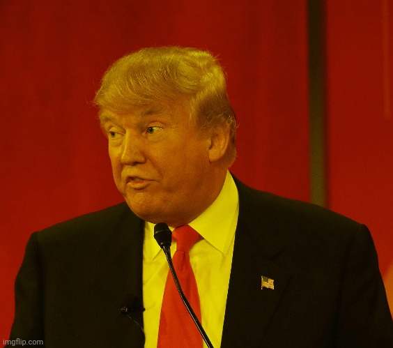 Smach or Pahh? | image tagged in trump goony stupid silly | made w/ Imgflip meme maker