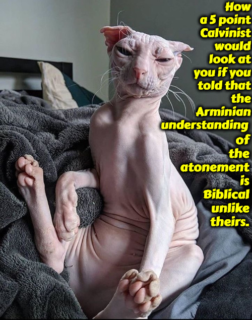 How Thet'd Look At You | How a 5 point Calvinist would look at you if you told that the Arminian understanding; of the atonement is Biblical unlike theirs. | image tagged in calvinism,theological snobs,arminian,molinism,limited atonement is unbiblical,4 and 5 point calvinist reformed theology | made w/ Imgflip meme maker