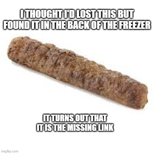 memes by Brad - I found a sausage at the back of my freezer, The Missing Link | I THOUGHT I'D LOST THIS BUT FOUND IT IN THE BACK OF THE FREEZER; IT TURNS OUT THAT IT IS THE MISSING LINK | image tagged in funny,fun,sausage,food memes,humor,play on words | made w/ Imgflip meme maker