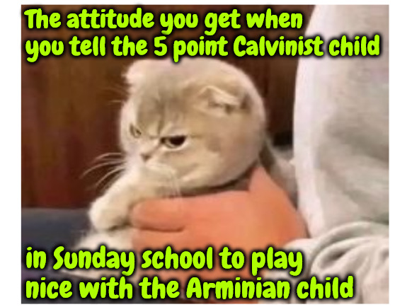 The Attitude You Get | The attitude you get when you tell the 5 point Calvinist child; in Sunday school to play nice with the Arminian child | image tagged in calvinism,arminian,molinism,bad attitude,sunday school,church | made w/ Imgflip meme maker