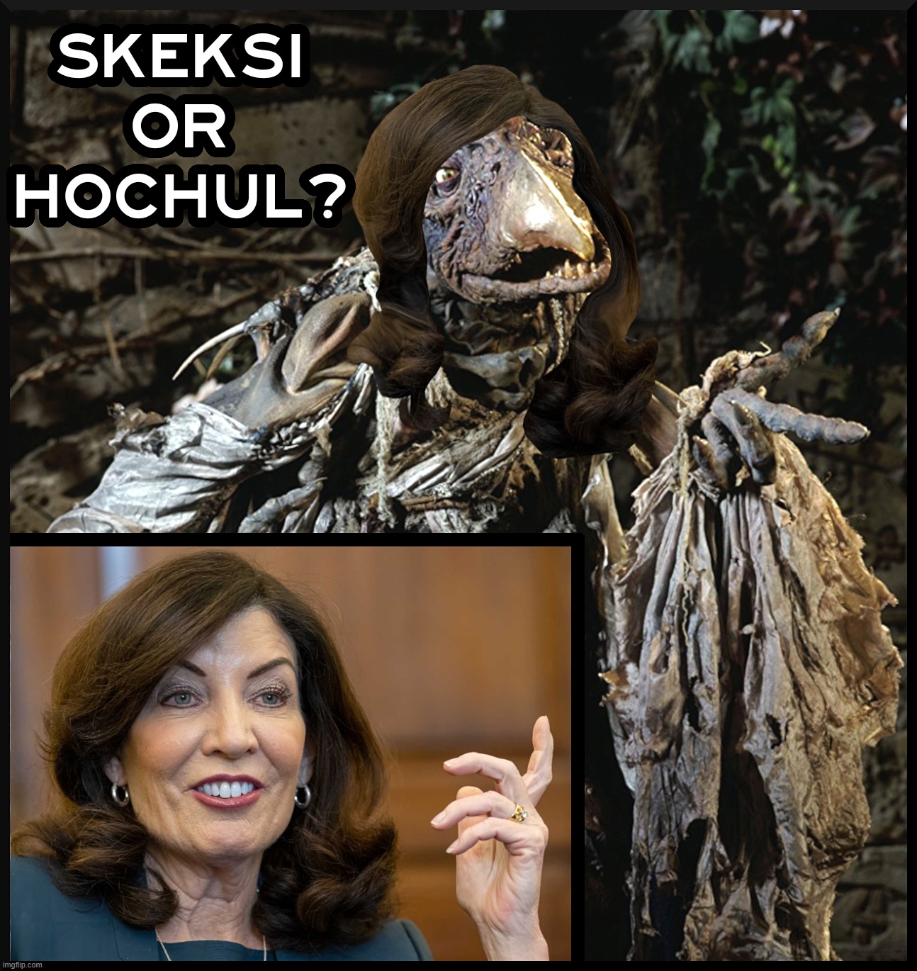 GAME: SKEKSI or HOCHUL ? | image tagged in game,skeksi,dark crystal,hochul,dark state,governor | made w/ Imgflip meme maker