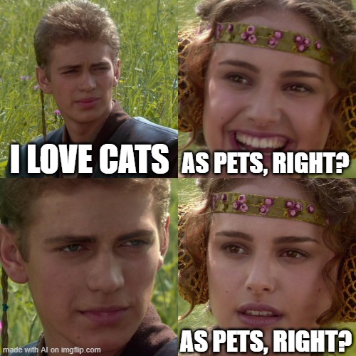 Anakin Padme 4 Panel | I LOVE CATS; AS PETS, RIGHT? AS PETS, RIGHT? | image tagged in anakin padme 4 panel | made w/ Imgflip meme maker