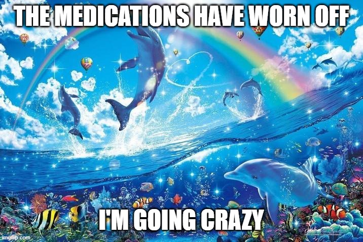 e | THE MEDICATIONS HAVE WORN OFF; I'M GOING CRAZY | image tagged in happy dolphin rainbow | made w/ Imgflip meme maker