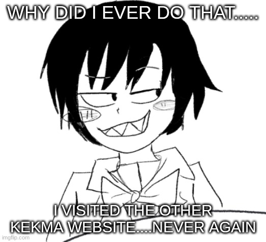 icy smirk | WHY DID I EVER DO THAT..... I VISITED THE OTHER KEKMA WEBSITE....NEVER AGAIN | image tagged in icy smirk | made w/ Imgflip meme maker