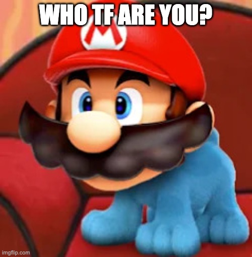 Mario blue's clues | WHO TF ARE YOU? | image tagged in mario blue's clues | made w/ Imgflip meme maker