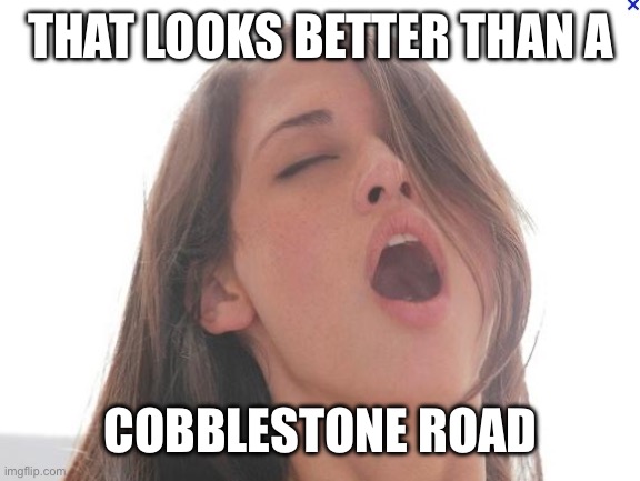 orgasm | THAT LOOKS BETTER THAN A COBBLESTONE ROAD | image tagged in orgasm | made w/ Imgflip meme maker