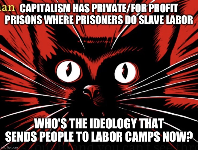 They are everything you fear about us | CAPITALISM HAS PRIVATE/FOR PROFIT PRISONS WHERE PRISONERS DO SLAVE LABOR; WHO'S THE IDEOLOGY THAT SENDS PEOPLE TO LABOR CAMPS NOW? | image tagged in sabo tabby,capitalism | made w/ Imgflip meme maker