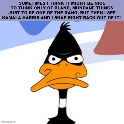 Kamala Harris | SOMETIMES I THINK IT MIGHT BE NICE TO THINK ONLY OF BLAND, MUNDANE THINGS JUST TO BE ONE OF THE GANG, BUT THEN I SEE KAMALA HARRIS AND I SNAP RIGHT BACK OUT OF IT! | image tagged in daffy duck not amused,kamala,lefties,marxists,liars | made w/ Imgflip meme maker