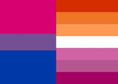 Bisexual/lesbian flag Blank Meme Template