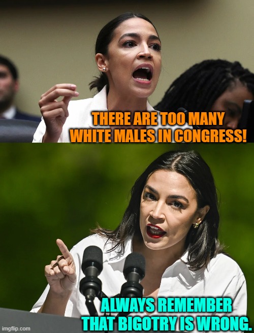 Quick, which leftist message does Alexandria Occasional-Cortex actually BELIEVE? | THERE ARE TOO MANY WHITE MALES IN CONGRESS! ALWAYS REMEMBER THAT BIGOTRY IS WRONG. | image tagged in yep | made w/ Imgflip meme maker