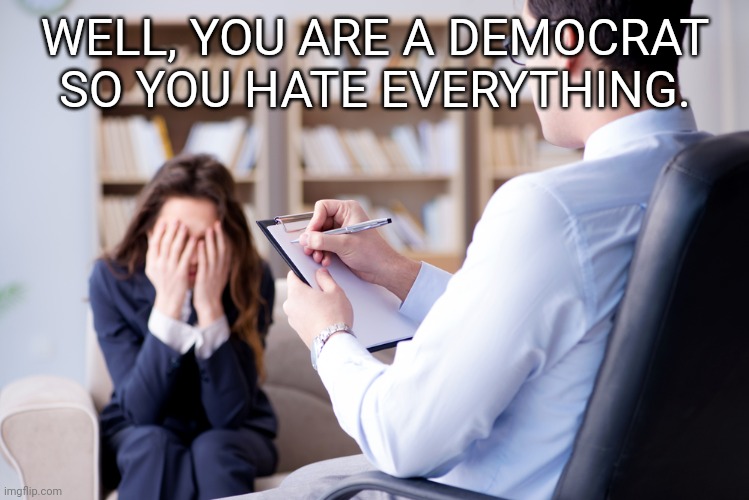 Psychiatrist | WELL, YOU ARE A DEMOCRAT SO YOU HATE EVERYTHING. | image tagged in psychiatrist | made w/ Imgflip meme maker