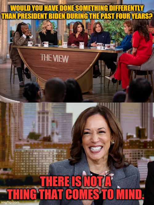 Kamala Harris Tries To Distance Herself From Joe Biden, But Just Can't Seem To Do It | WOULD YOU HAVE DONE SOMETHING DIFFERENTLY THAN PRESIDENT BIDEN DURING THE PAST FOUR YEARS? THERE IS NOT A THING THAT COMES TO MIND. | image tagged in memes,the view,different,joe biden,not so much,nothing comes to mind | made w/ Imgflip meme maker