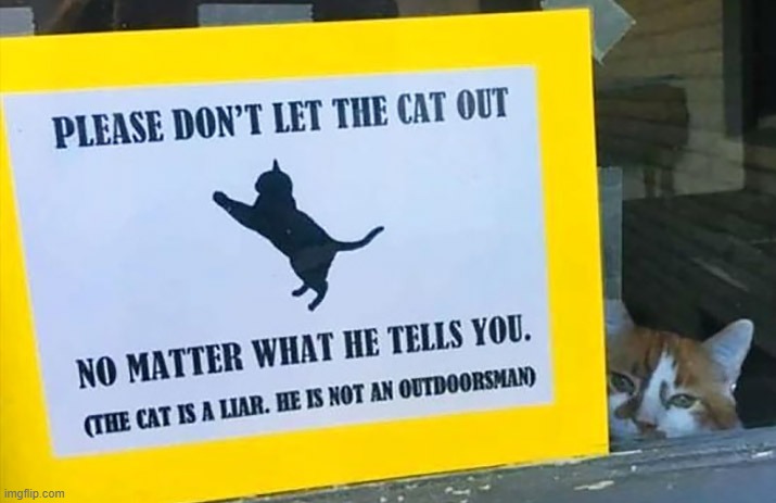 Deceptionist | image tagged in cats,liar,the trickster | made w/ Imgflip meme maker